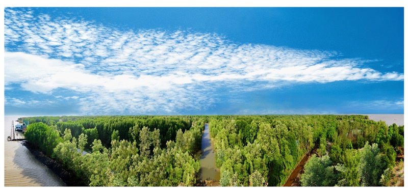 Ca Mau Biosphere Reserve