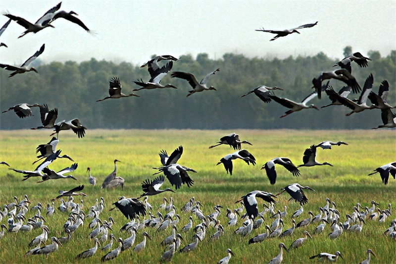 Gathering