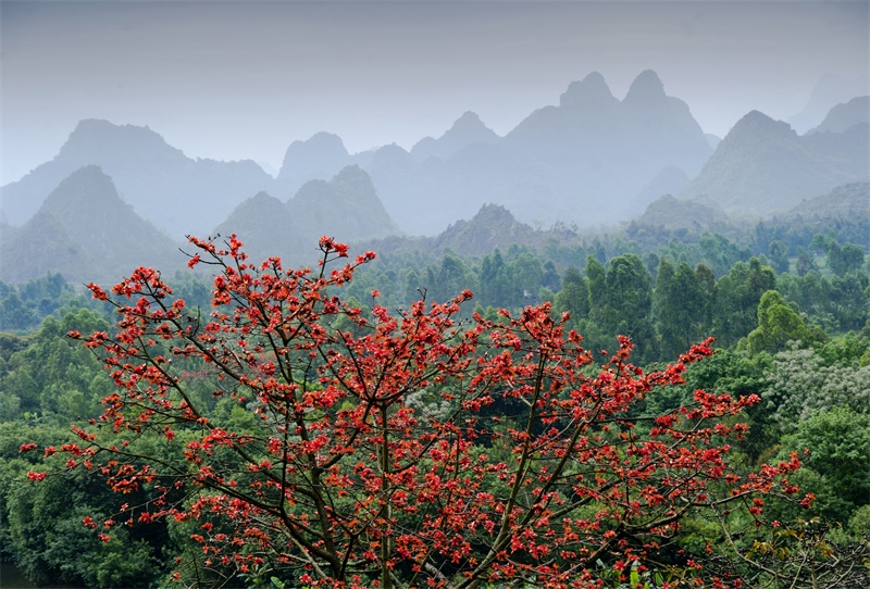 Huong Son Landscape