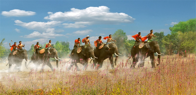Racing elephant in Don hamlet