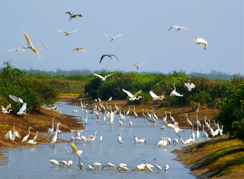 Xuan Thuy National Park